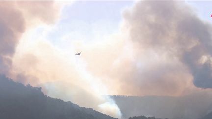 Sur l’île de Tenerife (Espagne), 3 500 hectares sont déjà partis en fumée depuis mardi 15 août au soir. 7 600 personnes ont été évacuées ou confinées. (France 2)