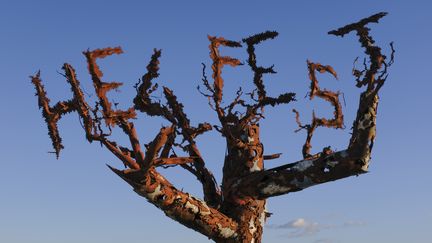 Sur le site du Hellfest à Clisson (Loire-Atlantique), dont l'édition 2020 a dû être annulée et reportée à 2021 pour cause de pandémie. (SANDRINE MULAS / HANS LUCAS / AFP)