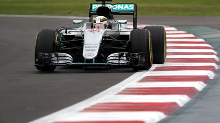 Lewis Hamilton (LARS BARON / GETTY IMAGES NORTH AMERICA)