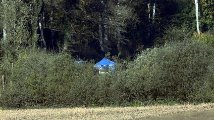 La tente beue des techniciens de l'identification criminelle de la gendarmerie sur le lieu de la découverte du corps d'Alexia Daval, le 31 octobre 2017, près de Gray (Haute-Saône). (MAXPPP)