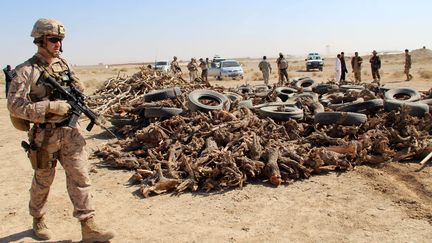 L'Otan et les soldats afghans se préparent à brûler des drogues&nbsp;retrouvées à Helmand (Afghanistan), le 2 novembre 2017. (WATAN YAR / EPA)