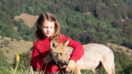 "Mystère", ou la rencontre amicale entre une fillette et un loup. (COPYRIGHT RADAR FILMS - SOLAR ENTERTAINEMENT - GAUMONT - AUVERGNE-RHÔNE-ALPES CINÉMA)