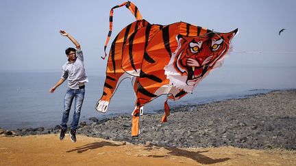 Un homme lance son cerf-volant en forme de tigre lors d'un festival &agrave; Bombay (Inde), le 8 janvier 2014. (DANISH SIDDIQUI / REUTERS)