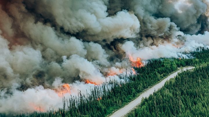 Des images aériennes d'un incendie au Québec (Canada), le 29 juin 2023. (GENEVIEVE POIRIER / SOCIETE DE PROTECTION DES FORETS / AFP)