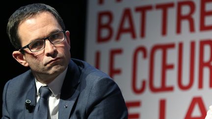 Benoît Hamon en meeting à Toulouse (Haute-Garonne), le 20 janvier 2017 (JEAN-MARC HAEDRICH/SIPA)