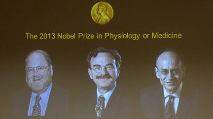 De gauche &agrave; droite, les Am&eacute;ricains James E. Rothman et Randy W. Schekman, et l'Allemand Thomas C. S&uuml;dhof, r&eacute;compens&eacute;s par le prix Nobel de m&eacute;decine, le 7 octobre 2013 &agrave; Stockholm (Su&egrave;de). (JONATHAN NACKSTRAND / AFP)