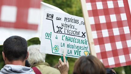 Une manifestation contre les pesticides à Listrac-Medoc, près de Bordeaux en octobre 2017. (MAXPPP)