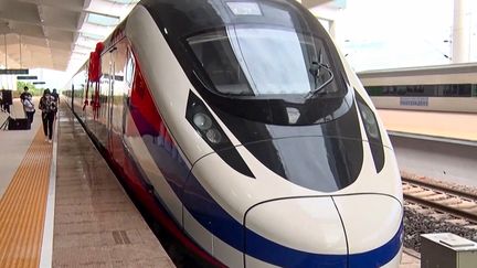 Le TGV Lane Xang à la gare ferroviaire de Vientiane, le 16 octobre 2021. (STR / AFPTV)