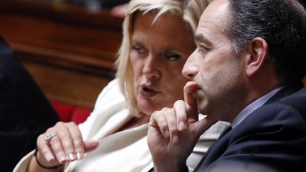 La d&eacute;put&eacute;e-maire du Cannet (Alpes-Maritimes) affirme que des "irr&eacute;gularit&eacute;s" ont &eacute;t&eacute; observ&eacute;es &agrave; Cannes et Nice. (PIERRE VERDY / AFP)