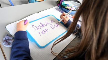 Une écolière en classe de CM1-CM2 bilingue breton-français à Rennes (Ille-et-Vilaine), le 21&nbsp;mai 2021.&nbsp; (MAXPPP)