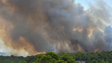 Incendie aux abords de Narbonne : 160 pompiers encore mobilisés toute la nuit 