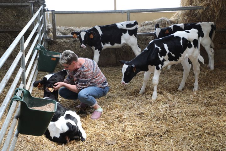 Marie-Claude Morice prend soin de plusieurs de ses animaux dans l'exploitation familiale, le 1er mai 2019 à Limerzel (Morbihan).&nbsp; (VALENTINE PASQUESOONE / FRANCEINFO)