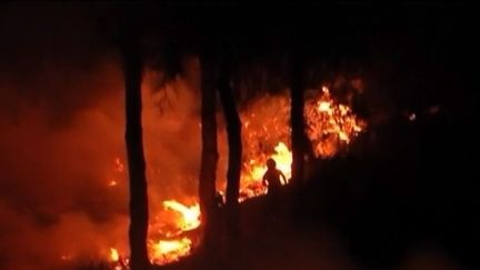 Espagne : Un incendie fait toujours rage en Andalousie