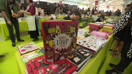 Le loup, star de la Fête du livre à Saint-Etienne&nbsp; (France 3 Rhône-Alpes)