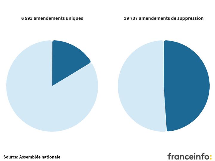 Amendements uniques et amendements de suppression (FRANCEINFO)