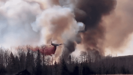 Dans l’Alberta, à l'ouest du Canada, 110 feux ont brûlé 122 000 hectares de forêts et de terres de cette province asséchée en ce printemps. L'état d'urgence a été déclaré, tandis que d'autres départs de feu ont lieu dans des provinces voisines. (France 2)