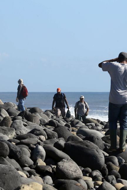 Des employés d'une association de protection de l'environnement cherchent des débris du MH370 sur une plage de Sainte-Marie, à La Réunion, le 10 août 2015. (RICHARD BOUHET / AFP)