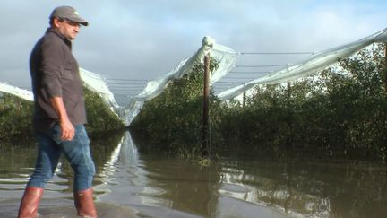 Les crues ont fortement impacté les éleveurs, les arboriculteurs et les viticulteurs de plusieurs départements, notamment en Ardèche et dans les Yvelines.