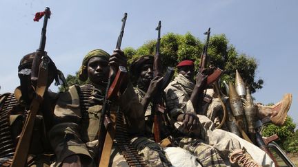 Des soldats tchadiens de la force internationale en Centrafrique, le 2 janvier 2013 &agrave; Damara, &agrave; 75 km de la capitale centrafricaine&nbsp;Bangui. (LUC GNAGO / REUTERS)