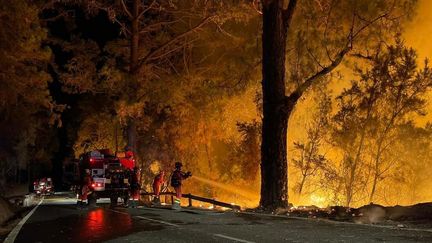 Des pompiers déployés face à un incendie, le 17 août 2023, sur l'île de Tenerife dans les Canaries (Espagne). (UME / AFP)