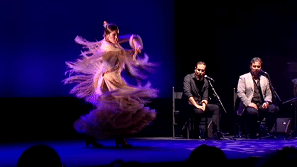 Festival Arte Flamenco 2016
 (Capture d&#039;écran France 3/Culturebox)