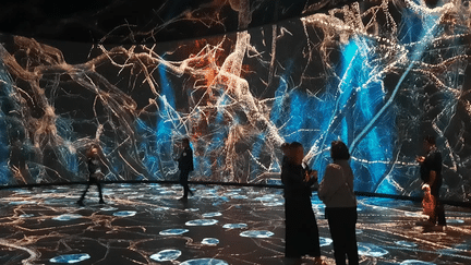 The Invisible Worlds immersive experience (Radio France/France Inter/ Alexis Demeyer)