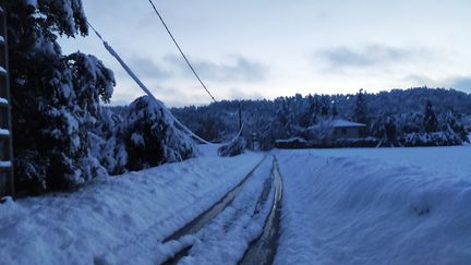 Une ligne électrique pliée sous le poids de la neige, à Peyrins (Drôme), le 15 novembre 2019. (NELLY SORBIER / FRANCE-BLEU DRÔME-ARDÈCHE)