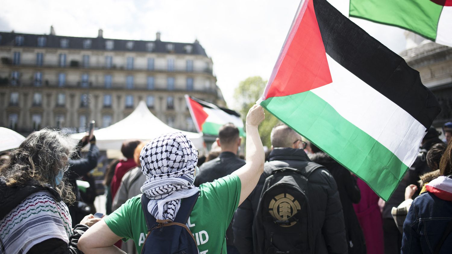 Manifestation Pro-palestinienne Interdite à Paris : France Palestine ...