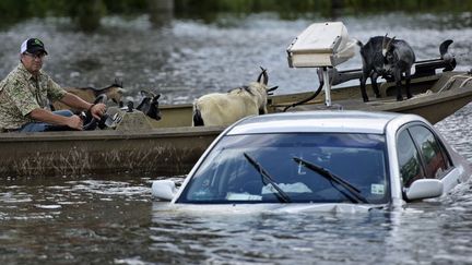 La Louisiane s'est réveillée sous les eaux le 12 août et la région de Baton Rouge subissait encore de la montée des eaux cinq jours plus tard. 20.000 personnes ont dû être secourues à la suite des pires inondations jamais vues dans cet Etat du sud des Etats-Unis. A l'instar de cette femme de 78 ans qui a passé la nuit réfugiée dans un arbre. Les maisons comme les lieux de travail sont encerclés par une eau boueuse. Pour l'instant, et sous réserve de découvrir d'autres victimes, sept personnes ont déjà perdu la vie. «Nous connaissons l'une des pires tempêtes que nous n'avons jamais eue, avec des crues soudaines», a raconté Layton Ricks, président de la paroisse de Livingston dans les environs de Baton Rouge, au côté du gouverneur en conférence de presse


 (Brendan Smialowski / AF)