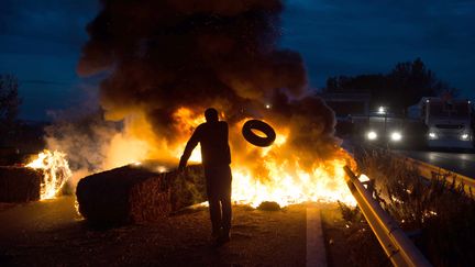 Des "bonnets rouges" manifestent sur l'autoroute A54, &agrave; proximit&eacute; d'un portique &eacute;cotaxe, le 15 novembre 2013. (BERTRAND LANGLOIS / AFP)