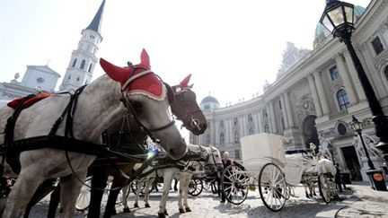 un cocher près de Hofgurg Palace,Vienne, le 22 septembre 2009 (AFP/Joel Klamar)