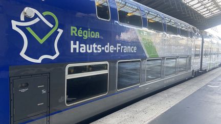 Une rame TER de la région Hauts-de-France, Gare du Nord, à Paris (photo d'illustration). (STEPHANE BARBEREAU / RADIO FRANCE)