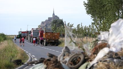 Éleveur en colère : le Mont-Saint-Michel dépourvu de touristes