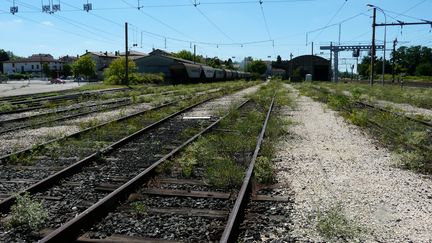 Les voies de service de la gare de Saint-Rambert-d'Albon, dans la Dr&ocirc;me. ( FRANCE 3 AUVERGNE / FRANCETV INFO)