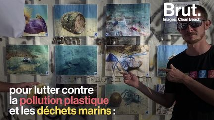 62 000 kilos de déchets. C'est ce qu'auraient ramassé ces volontaires lors d'un nettoyage de plage géant en Israël…