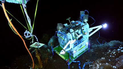 Module d’observation TEMPO avec sa caméra, les quatre projecteurs et les sondes de mesures de température, oxygène et analyseur de fer. Ce module déployé sur le site actif Grotto de la dorsale Juan de Fuca filme un assemblage de vers tubicoles de l’espèce&nbsp;Ridgeia piscesae. (CSSF/ IFREMER/ NEPTUNE)