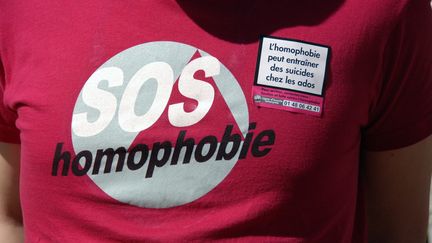 Un appel à lutter contre l'homophobie le 6 juin 2015 à Lille (illustration).&nbsp; (SEBASTIEN JARRY / MAXPPP)