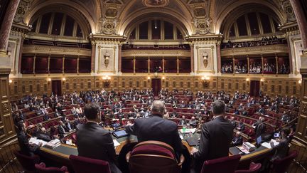 Une séance au Sénat, au palais du Luxembourg à Paris, le 17 novembre 2016. (LIONEL BONAVENTURE / AFP)