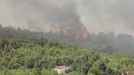 Pyrénées-Orientales : les pompiers tentent de maîtriser la reprise d’un important incendie