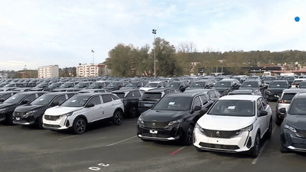 Automobile : faute de chauffeurs poids lourds, es voitures neuves s’entassent sur les parkings de Stellantis (France 3)