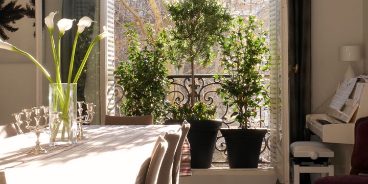 Un micro-balcon peut accueillir des arbustes qui protègent des regards des voisins.&nbsp; (ISABELLE MORAND / URBAN GREEN / RADIO FRANCE / FRANCE INFO)