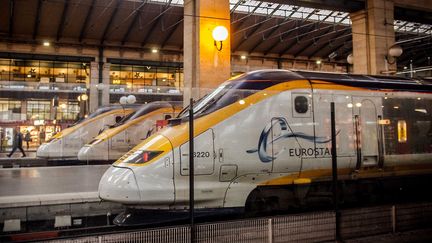 Un train Eurostar &agrave; la gare du Nord, &agrave; Paris, le 17 janvier 2014. (MAXPPP)