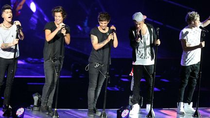 One Direction en concert en juin 2013
 (MediaPunch/Rex Featur/REX/SIPA)