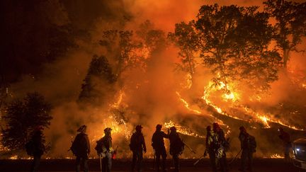  (Des milliers d'hectares ont déjà brûlé et au moins 86 maisons, 51 immeubles, ainsi que des axes routiers ont été détruits par le "Valley Fire" © REUTERS/Noah Berge)