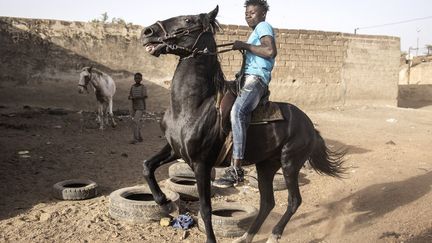 Il aime aussi emmener ses chevaux hors de la ville pour les entraîner dans la brousse afin qu’ils puissent participer aux courses du dimanche. &nbsp; (JOHN WESSELS / AFP)