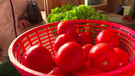 Les chaleurs presque estivales que connaît la France durant le mois d’octobre ont&nbsp;des conséquences sur la maturité des&nbsp;fruits et légumes.&nbsp;Dans les champs, tomates et poivrons, qui sont pourtant des légumes d'été, continuent de régaler les clients. (FRANCE 3)