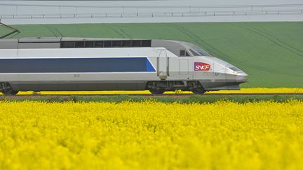 Un TGV près de Poitiers (Vienne). (J-B NADEAU / ONLY FRANCE / AFP)