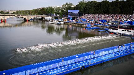 Les athlètes nagent dans la Seine lors de la course de triathlon individuel masculin aux Jeux olympiques de Paris 2024, le mercredi 31 juillet 2024 à Paris. (JASPER JACOBS / MAXPPP)