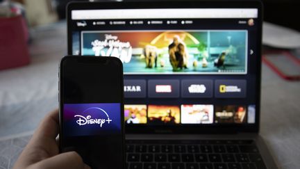 La plateforme Disney+ élargit son catalogue et augmente son prix de deux euros dès février 2021 (ANTOINE WDO / HANS LUCAS)