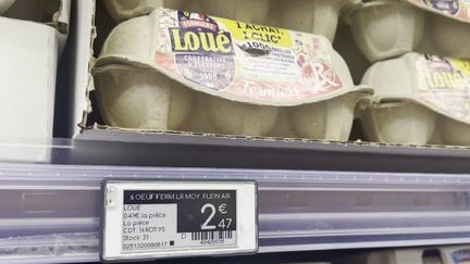 Alimentation : record de consommation d’oeufs en France